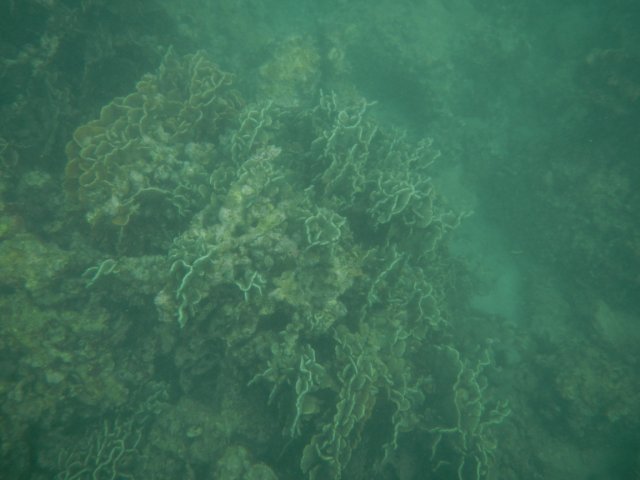dscn1751